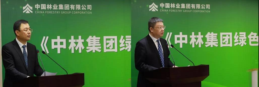 《中林集團(tuán)綠色高質(zhì)量發(fā)展暨“碳中和”白皮書(shū)》發(fā)布(圖4) 《中林集團(tuán)綠色高質(zhì)量發(fā)展暨“碳中和”白皮書(shū)》發(fā)布(圖4)